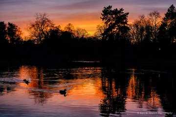 Autumn at Cannon Hill Park, Birmingham (November 2019)